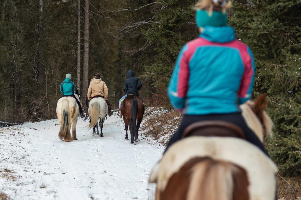 Escursioni a cavallo a Sauris